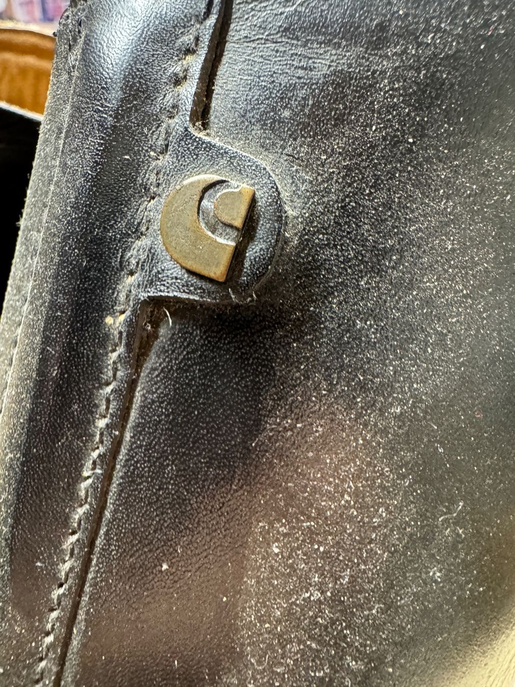 Chaussures hommes: Reitstiefel – D'occasion à Gunzwil par Carinio 1