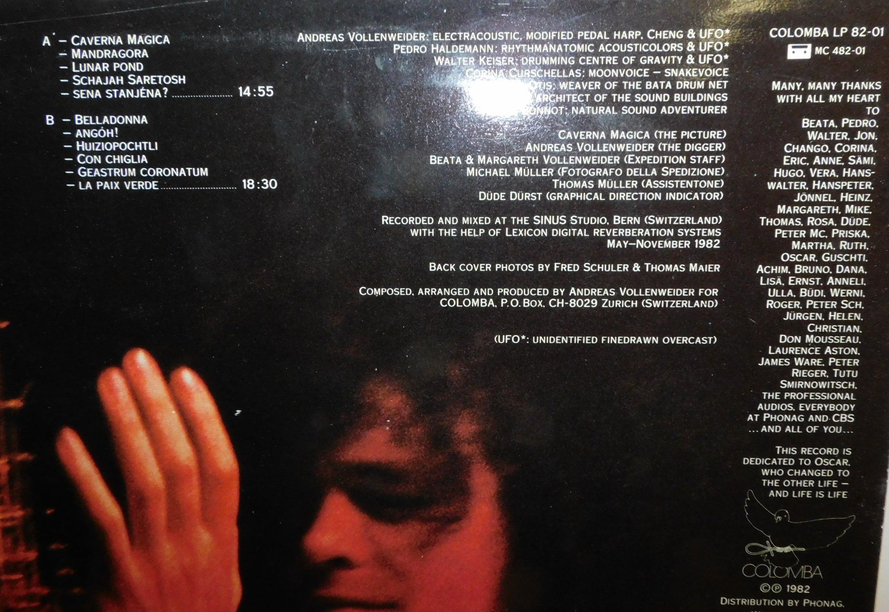 Dischi in vinile: LP Schallplatte - Andreas Vollenweider 1982  Schallplatte – Usato da Sursee venduto da 76 3