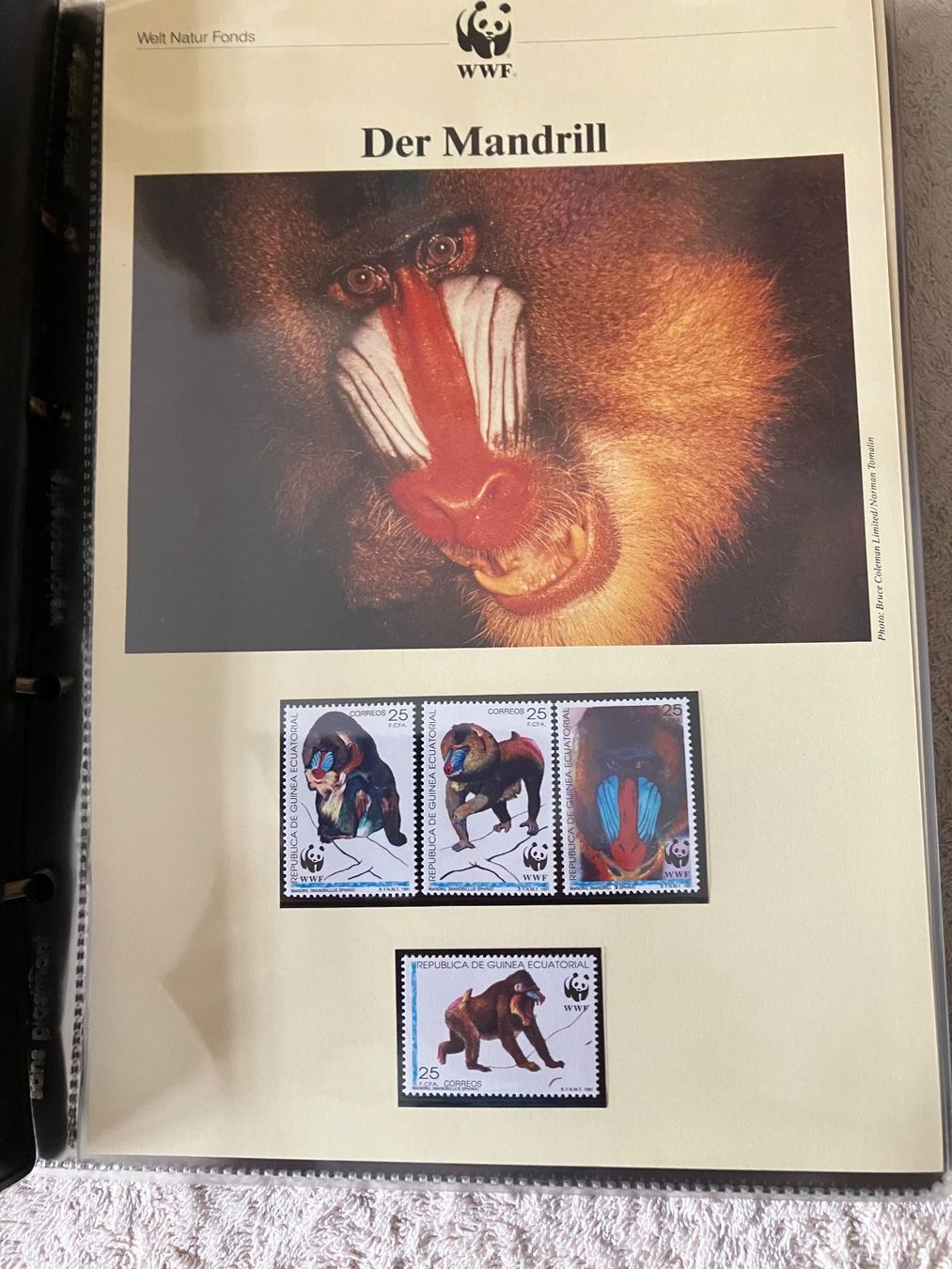 Alle Briefmarken: 6 Ordner WWF Briefmarken – Gebraucht aus Baar von Ramona10 6
