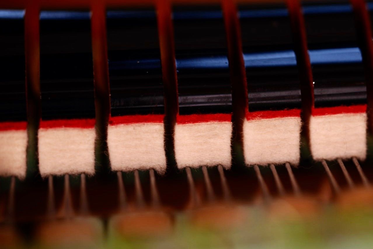 Instruments de musique: Flügel C.Bechstein B-203 – D'occasion à Spiez par eni_lvq7 4