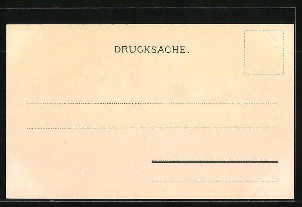 Cartoline postali: Litho Zürich, Totalansicht aus der Voge – Usato da Berlin venduto da bartko-reher 1