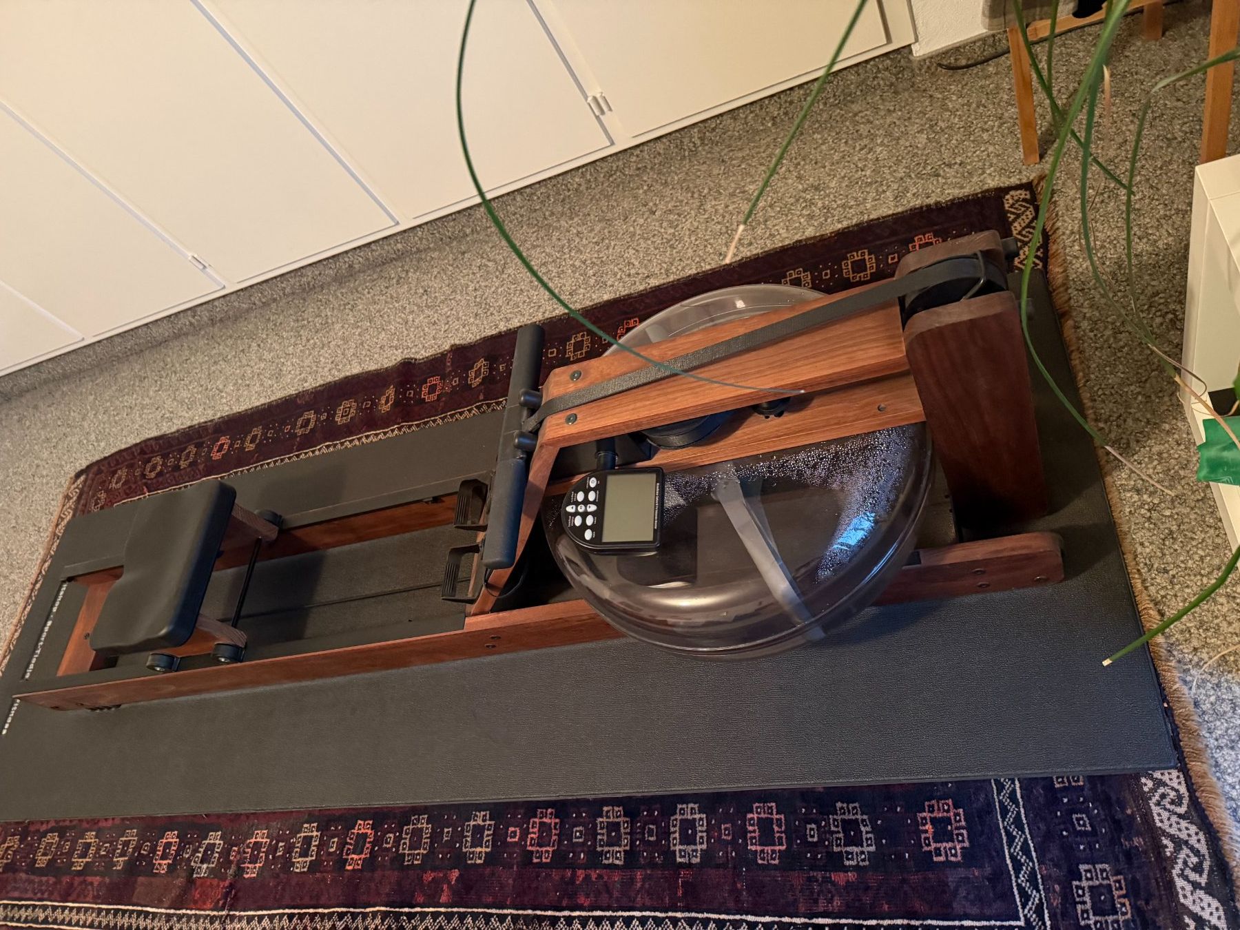 WaterRower Hometrainer: Rudergerät:  Waterrover Nussbaum – Usato da Unterstammheim venduto da nemito11 1