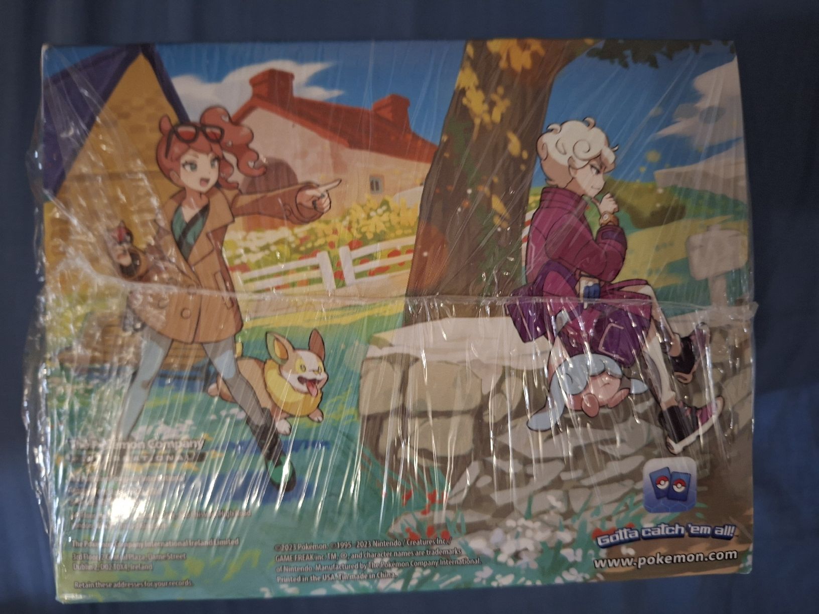 Pokémon Carte collezionabili: Crown Zenith: Mini Tin Display – Nuovo (secondo la descrizione) da Villars-le-Terroir venduto da kar_f7xy 6