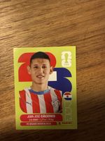 Panini Fifa PAR 6