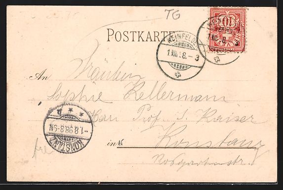 Cartes postales: Litho Weinfelden, 100 jährige Feier der – D'occasion à Berlin par bartko-reher 1