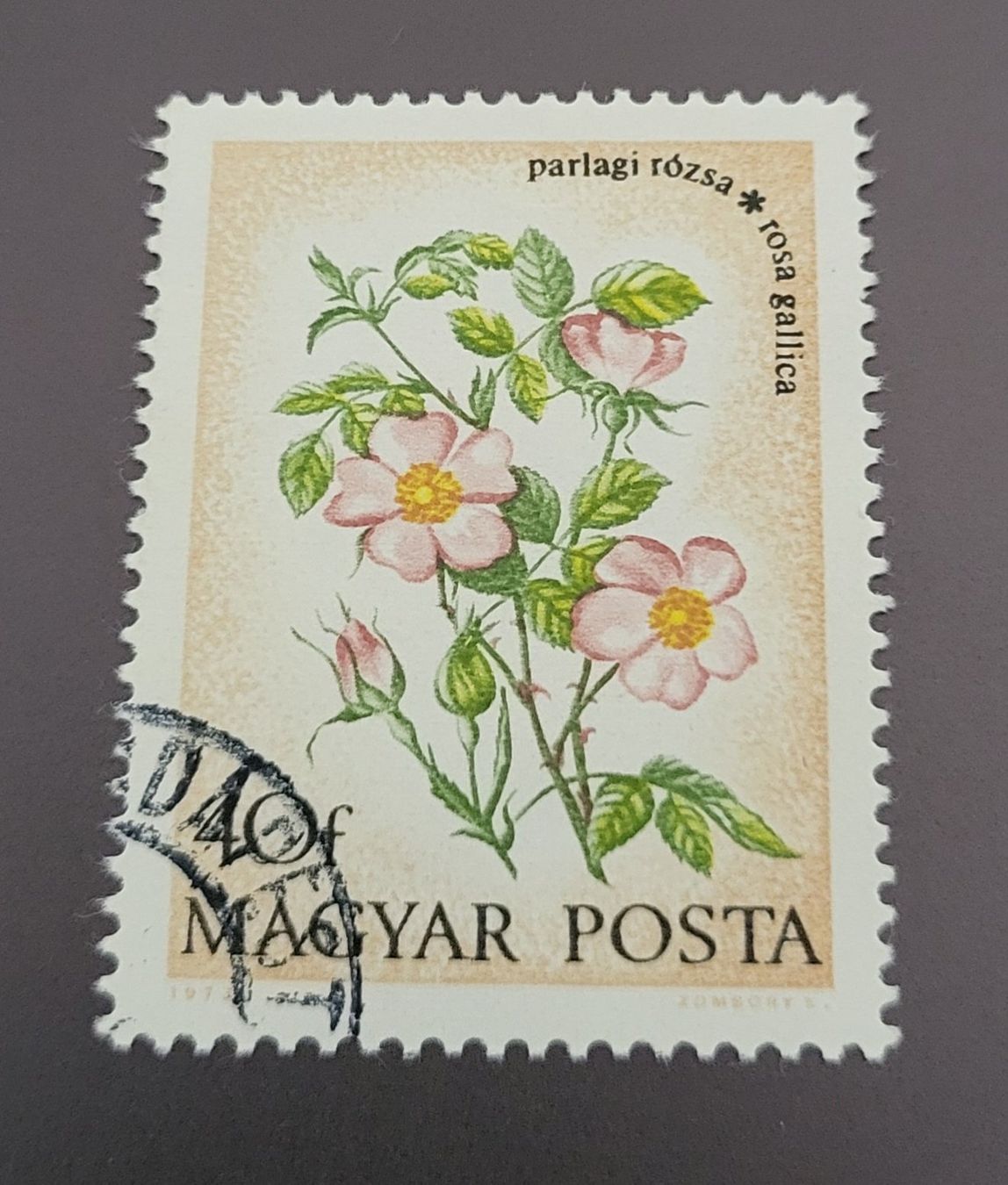 Tutti i francobolli: Ungarn 1973 briefmarke – Usato da St Gallen venduto da Stampsalshobby