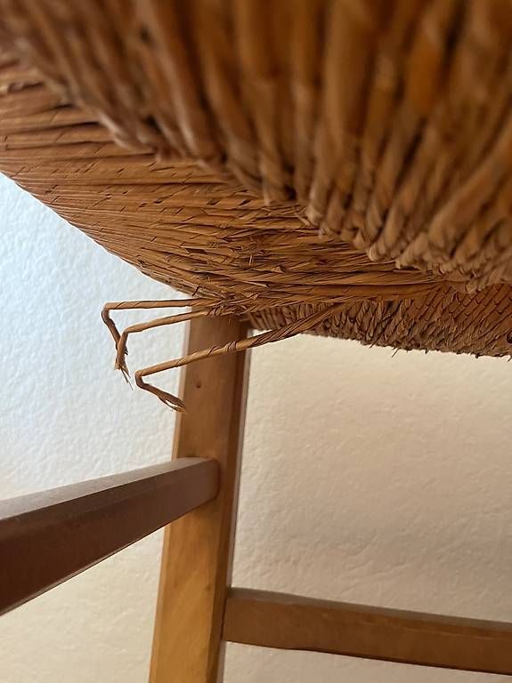 Sedie: 2 Holzstühle – Usato da Zürich venduto da afr_bpx7 3