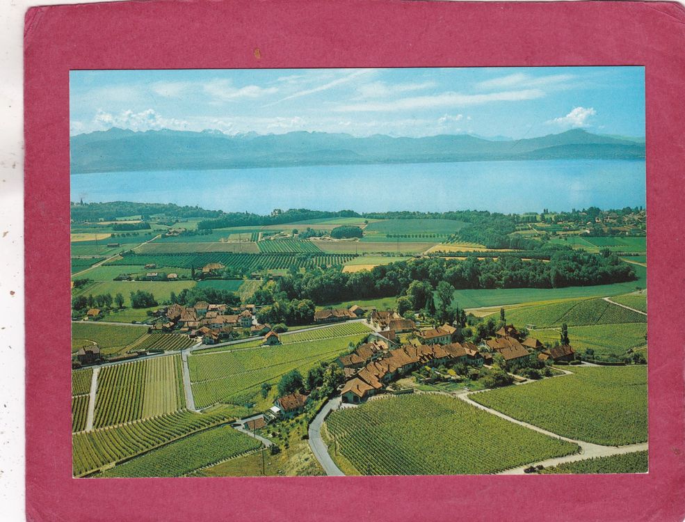 Soldanel, Féchy main image 0