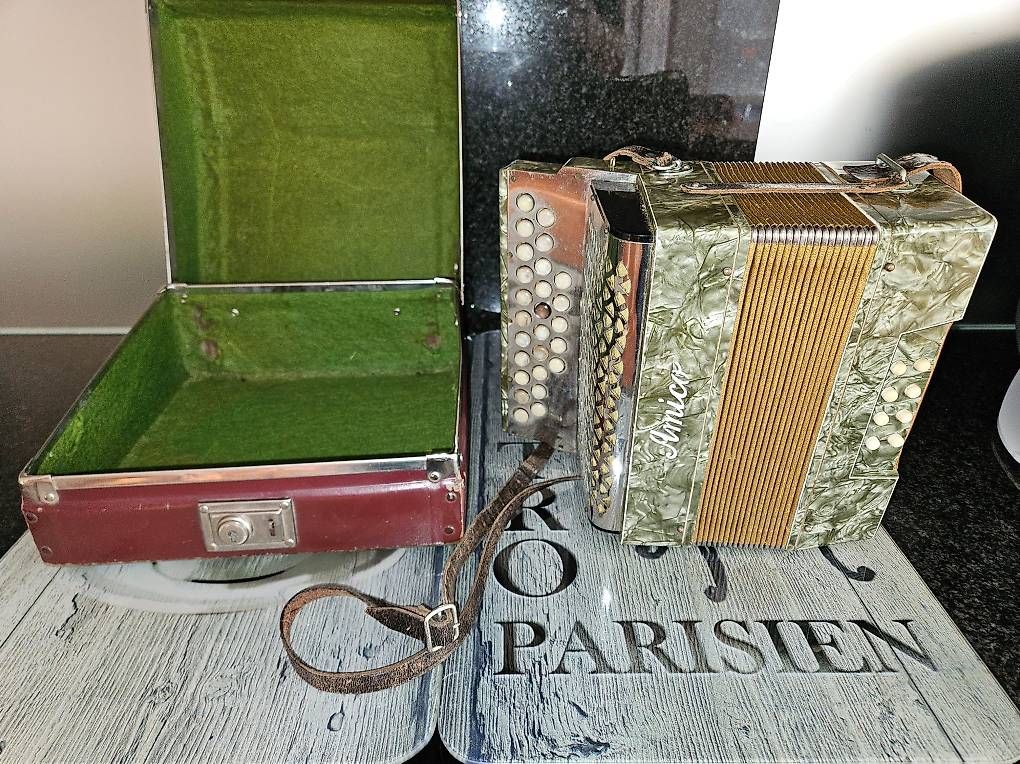Strumenti musicali: Örgeli Marke Amico – Usato da Visp venduto da Dhollaender
