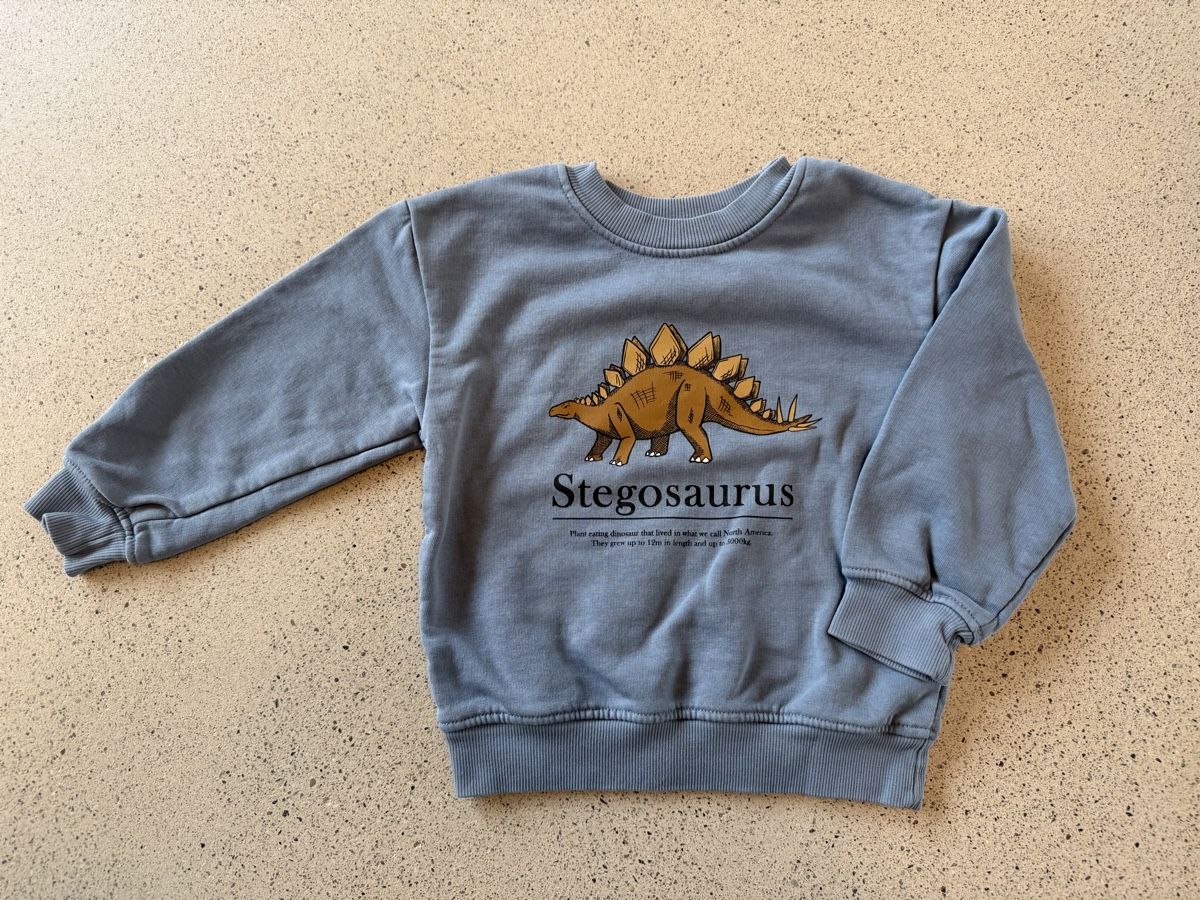 H&M Pullover & Sweatshirts: 3 x Sweatshirt 98/104 – Gebraucht aus Zürich von Cia91 1