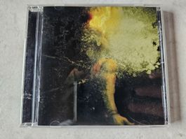 Scars Of Tomorrow  -  The Horror Of Realization