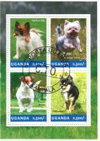 Block "Jack Russell Terrier, Yorkshire Terrier" . Uganda