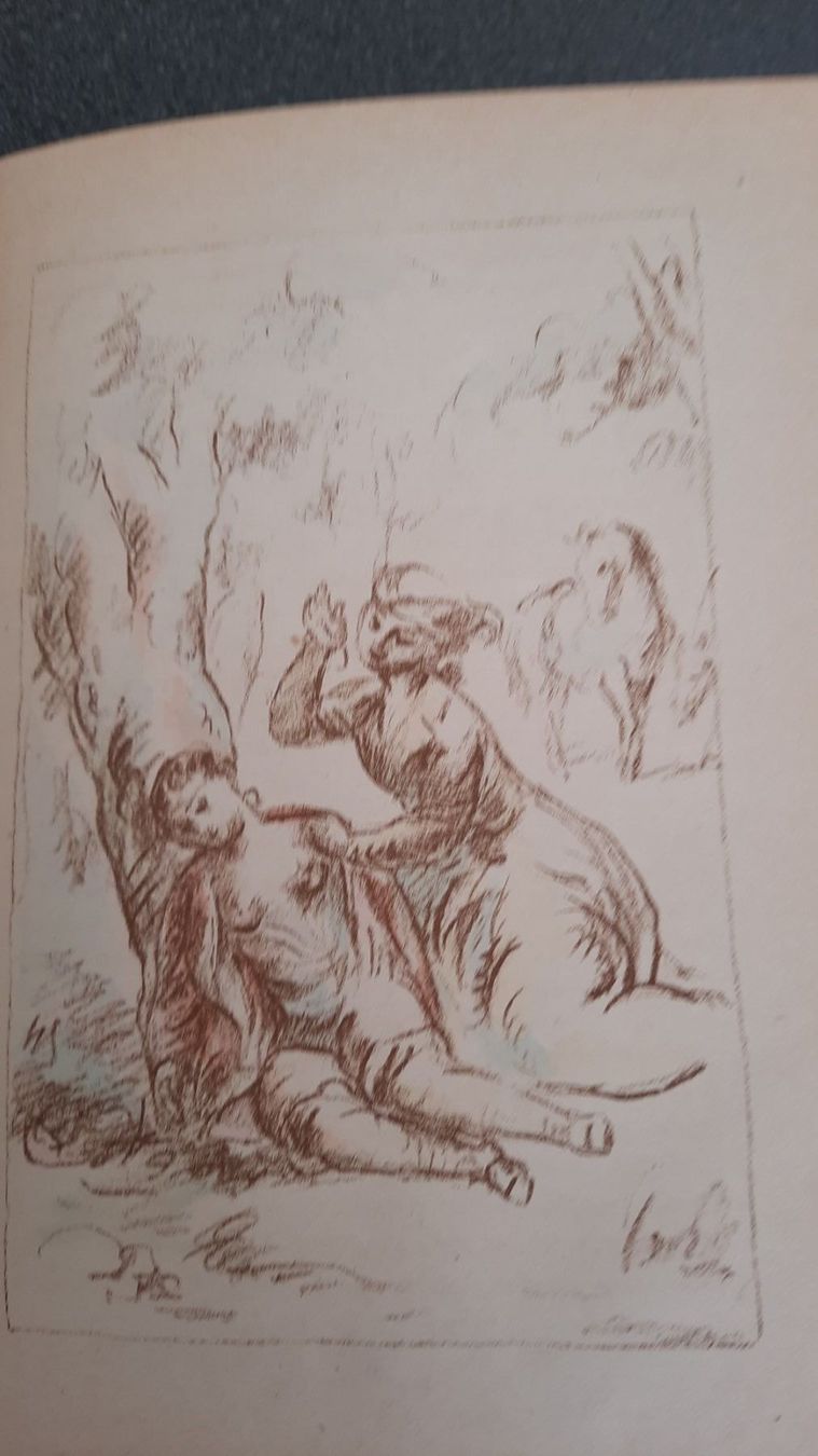 Libri: MADEMOISELLE DE MAUPIN – Usato da zürich venduto da gabab 4