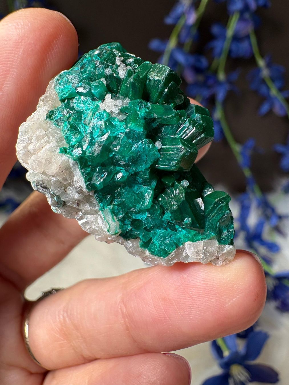 Mineralien & Heilsteine: Dioptas – Neu (gemäss Beschreibung) aus Neuheim von m.hald 2