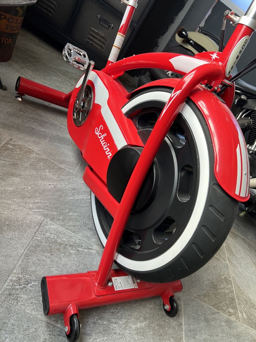 Schwinn Classic Cruiser Hometrainer (Gebraucht) in Samstagern für