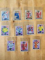 Carte Panini Extra