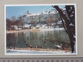 Wil, Altstadt, Weiher, 1993