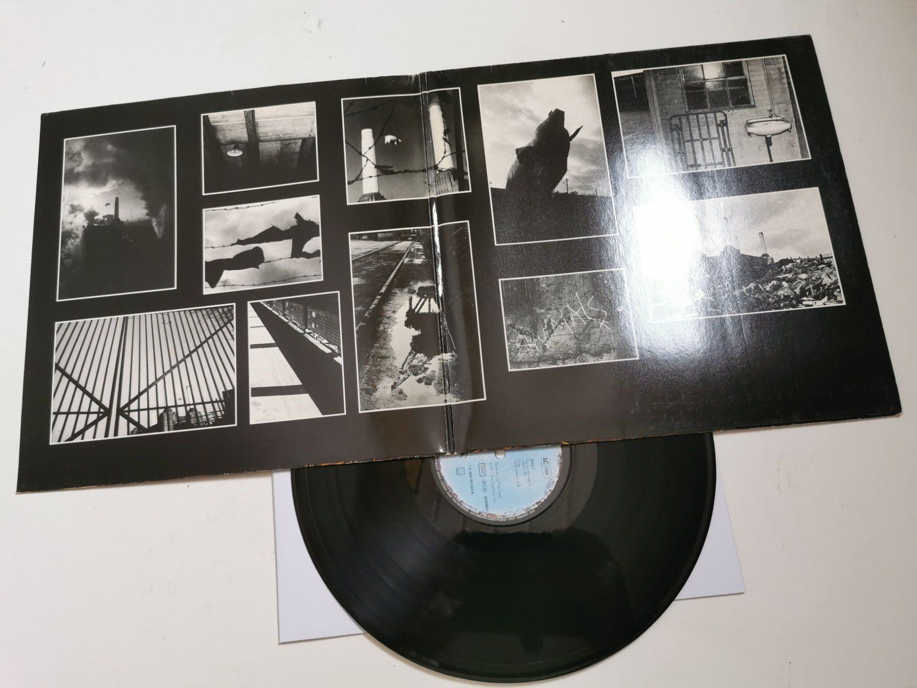 Dischi in vinile: PINK FLOYD - ANIMALS – Usato da Grafenried venduto da House-of-Oldies 2