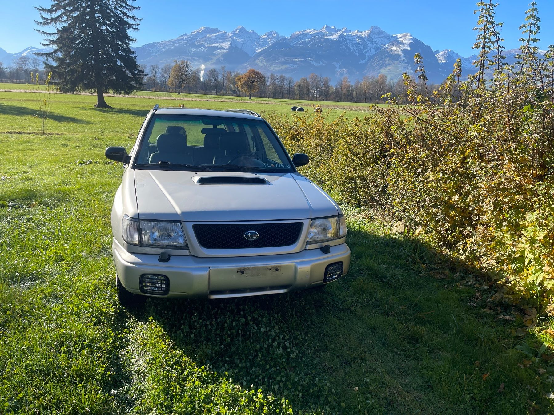 Subaru Automobili: Subaru Forester S Turbo Teil – Usato da Eschen venduto da Ziya54