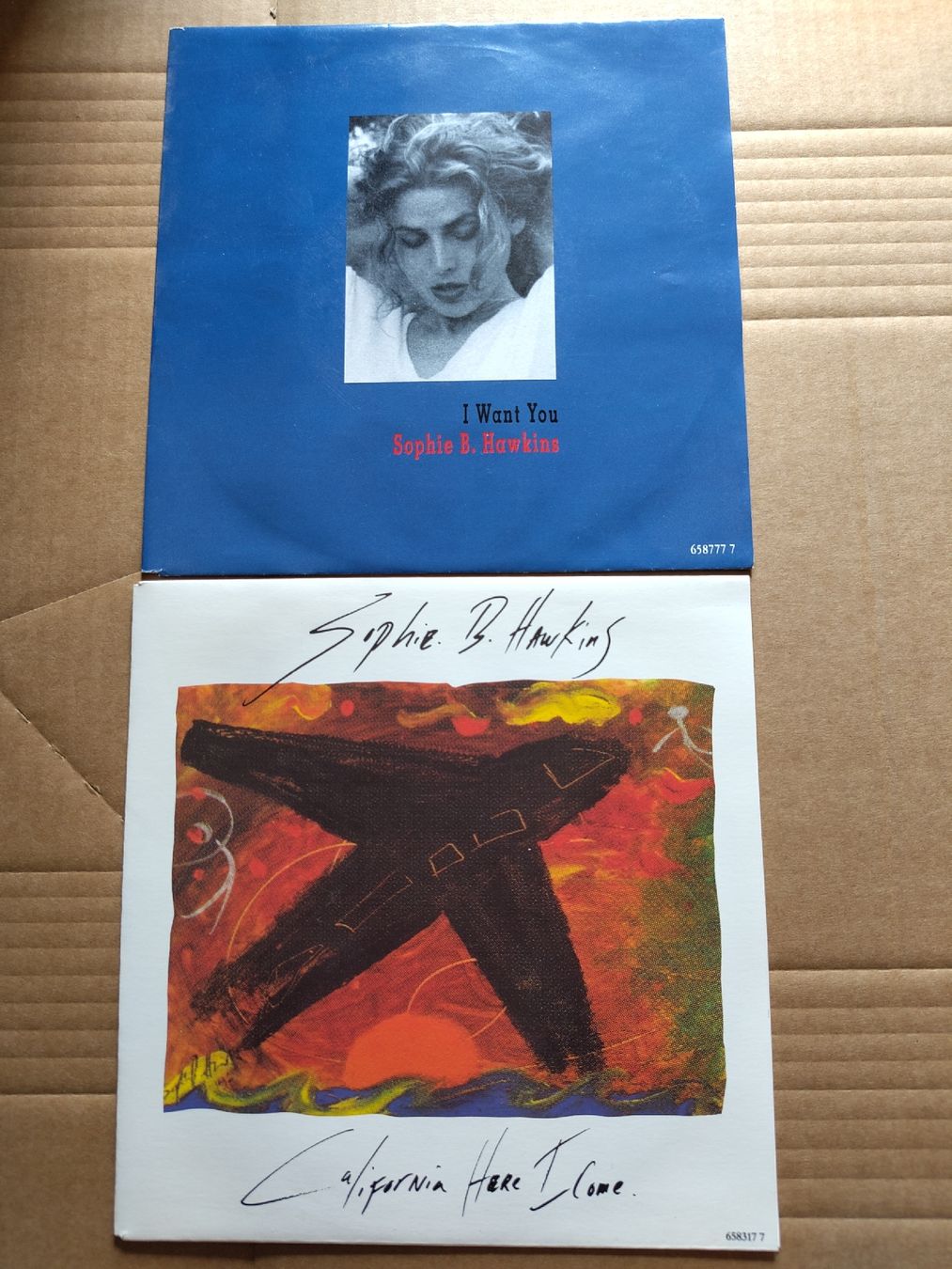 Dischi in vinile: Sophie B. Hawkins 2x Singles – Usato da Büsserach venduto da Bey23
