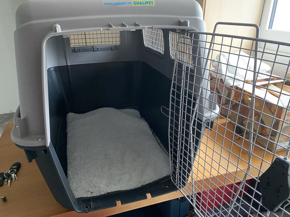 Gabbie, trasporto & Sicurezza: Grosse Hunde Transportbox von Qualipet – Nuovo (secondo la descrizione) da Berikon venduto da Golfandy51 3