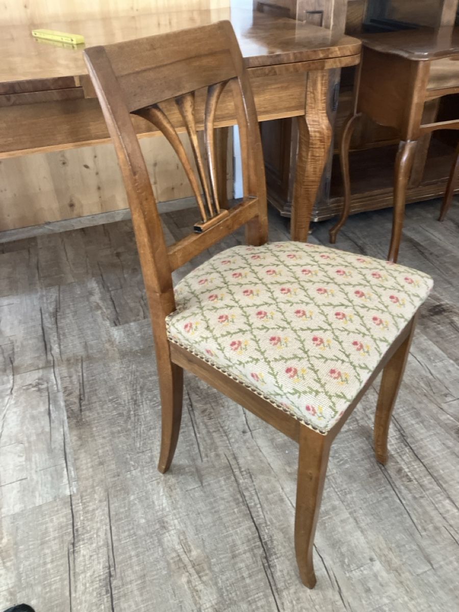 Chaises: Stuhl – D'occasion à Burg AG par ala_cx8x 1