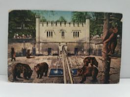Carte postale ancienne Berne Fosse aux Ours datée 1918