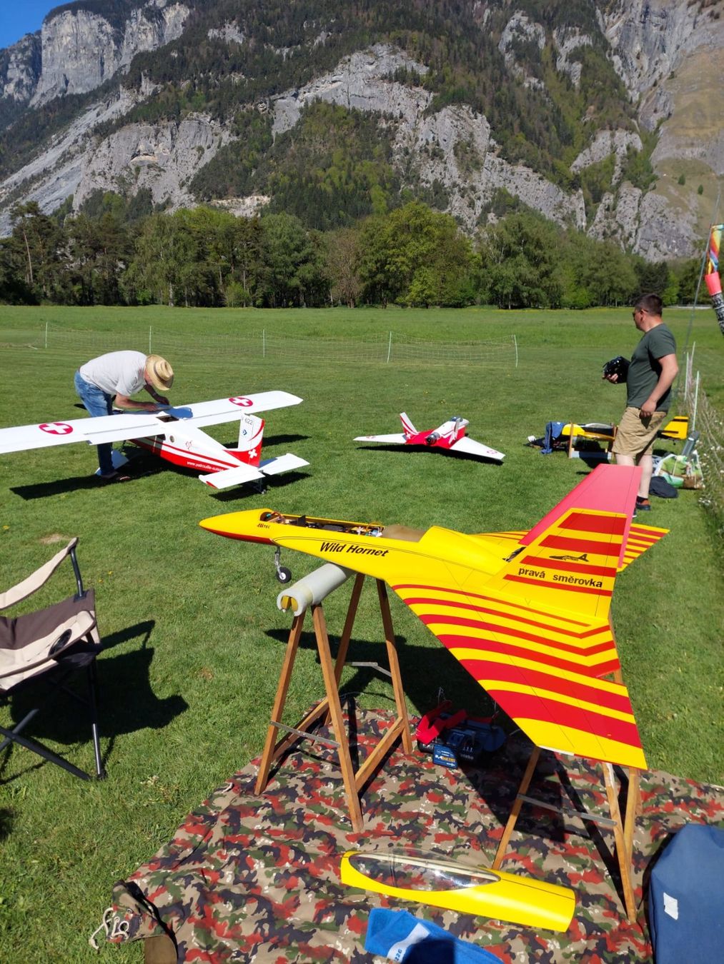 Modellismo RC: Modellflugzeug Wild Hornet – Usato da Igis venduto da Mfgrclenz