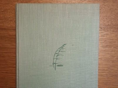 Libri: Buch Die Junge Droste – Usato da Ebmatingen venduto da 777_cq5g