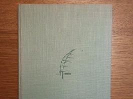 Buch Die Junge Droste