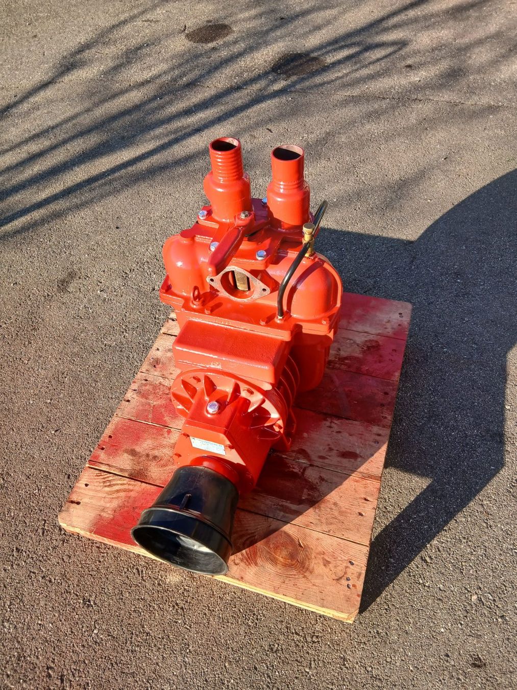 Accessori da laboratorio: Vakumpumpe Battioni – Usato da Untersteckholz venduto da wer_6nbn 4
