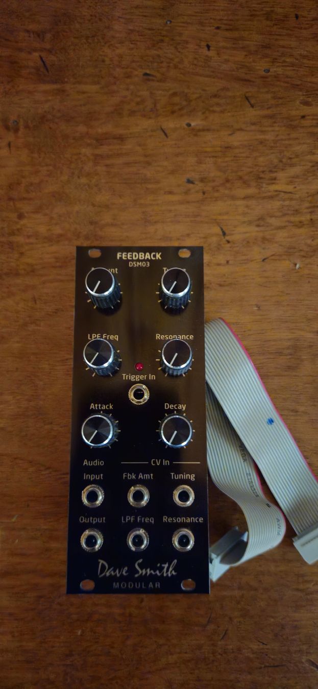 Musikinstrumente: Dave Smith DSM03 Feedback Filter Eurorack – Neu (gemäss Beschreibung) aus Vulliens von irauchimax