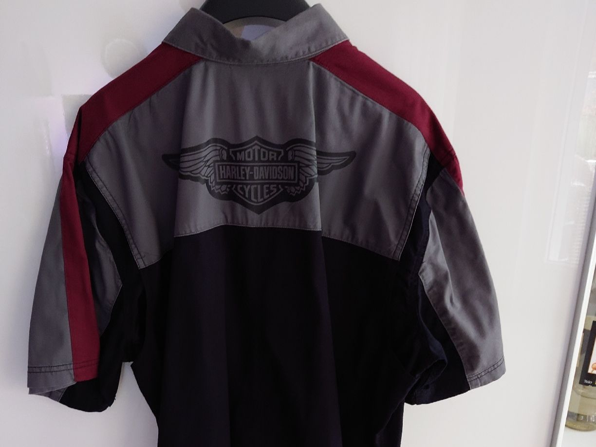 Harley-Davidson Camicie: Harley Davidson Hemd L – Usato da Vordemwald venduto da Fredeli1 2