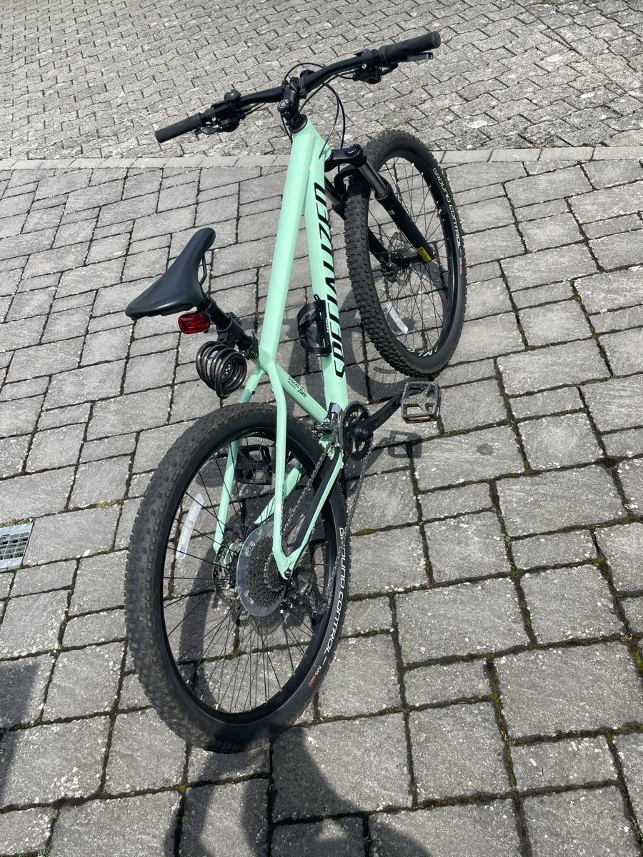 Specialized Biciclette: Mountainbike Specialized – Usato da Berikon venduto da shark1972 1