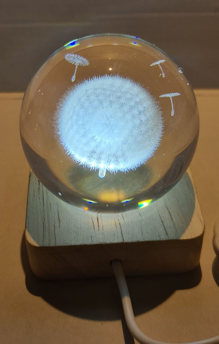 Tutte le decorazioni: 3D Löwenzahn Gravierte Globus 60mm – Nuovo (secondo la descrizione) da Uerkheim venduto da Kaufoption 1