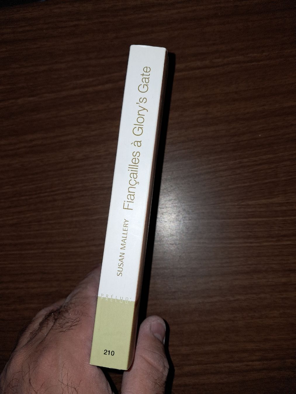 Libri: Fiançailles a Glory's gate – Usato da Le locle venduto da juliensaran 1