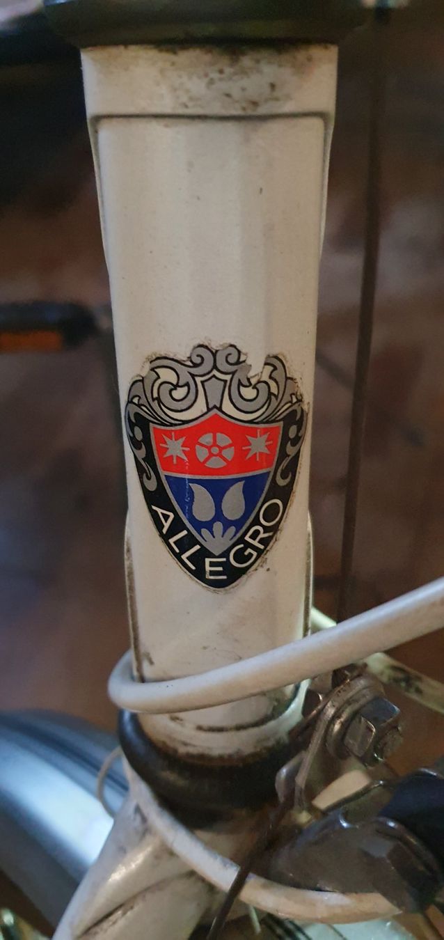Biciclette: Damenvelo – Usato da Walzenhausen venduto da Krautilein 3
