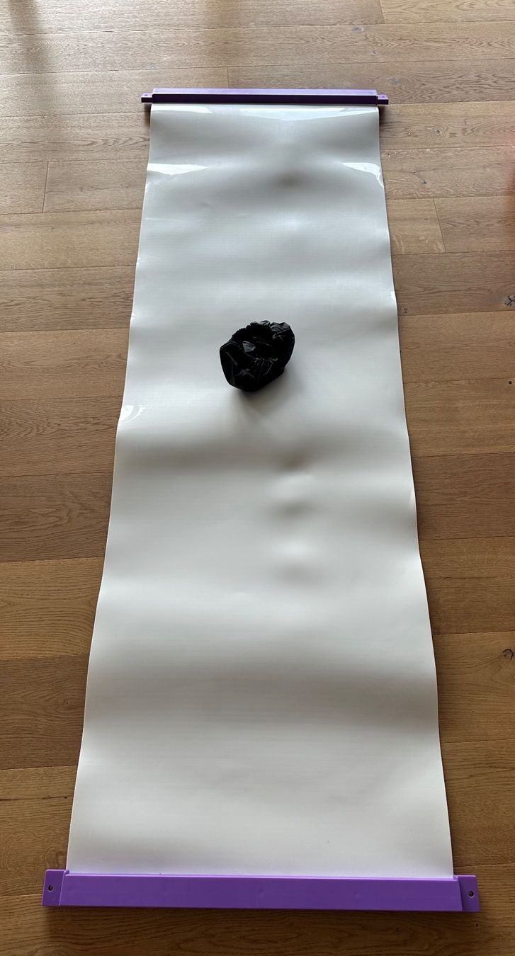 Hometrainer: Sliding Board Eishockey – Usato da Romanshorn venduto da Viner