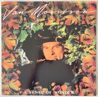 VAN MORRISON - A SENSE OF WONDER