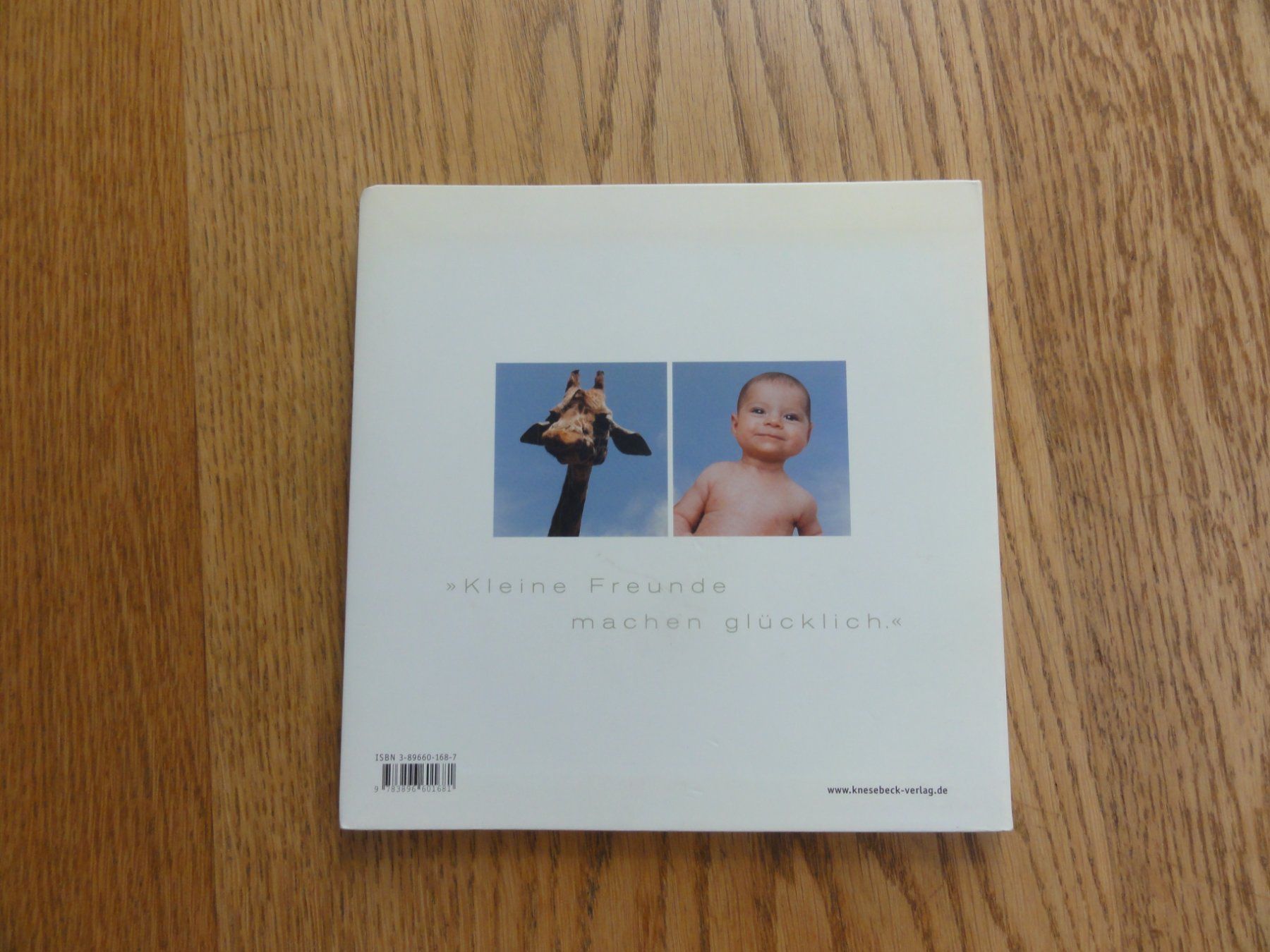 Libri: Kleine Freunde, Fotoband – Usato da Riedholz venduto da Taweva 5