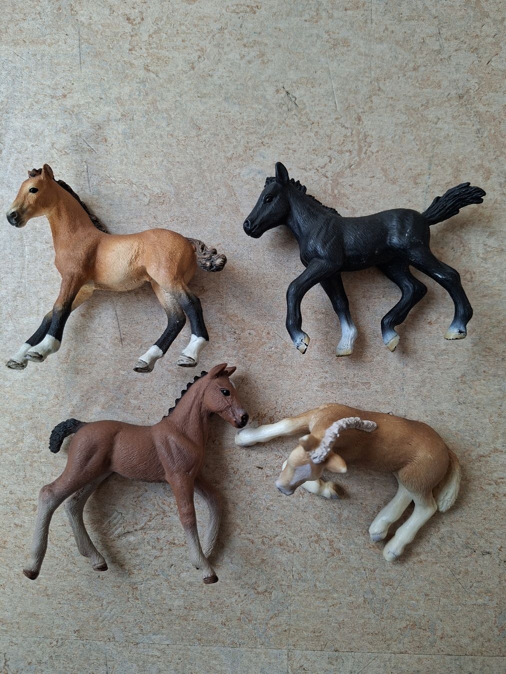 Schleich Giocattoli: Schleich Fohlen Mix: 4 Stück – Usato da Klingnau venduto da vollmond36 2
