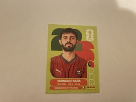 FIFA WM 2026 Bernardo Silvia POR 9