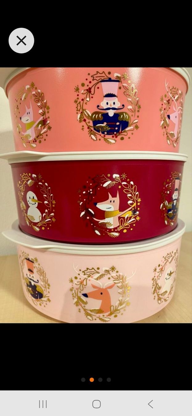 Tupperware Contenitori & Simili: Optimum Dosen Set – Nuovo e nell'imballaggio originale da Hasle b. Burgdorf venduto da buddle32
