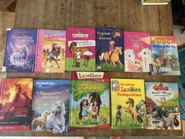 11 Lesebücher 🐴 Sammlung Pferde & Ponys guter Zustand
