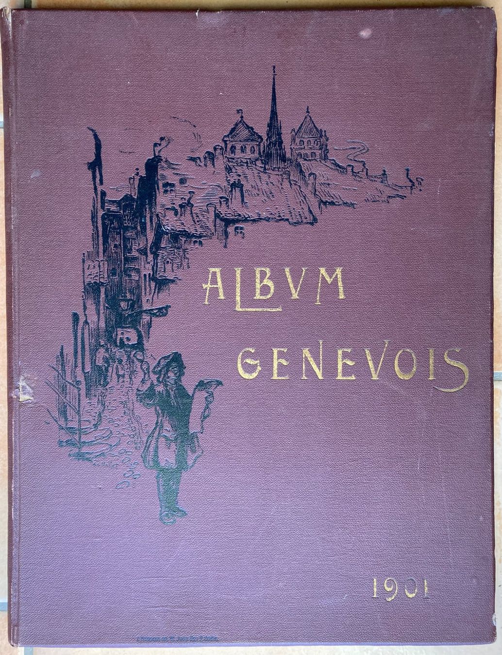 Album: Album genevois - 1901 – Usato da Versoix venduto da HELVETICA_1