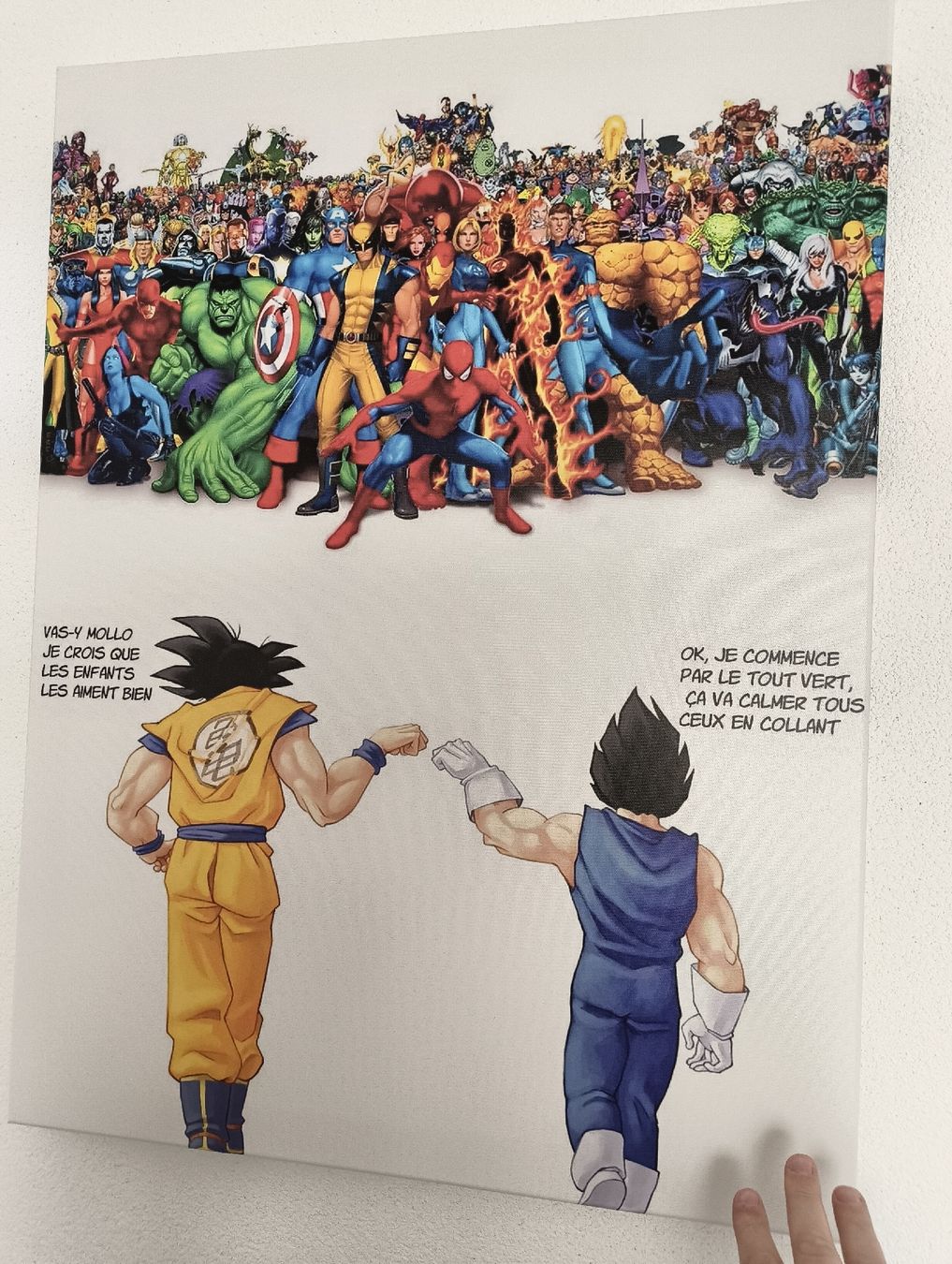 Comics: Cadre Dragon Ball vs Marvel – Neu (gemäss Beschreibung) aus Marly von jeandaniel2525 1