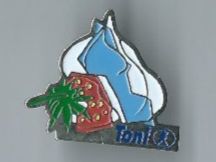 Plaketten & Abzeichen: Toni Pin – Gebraucht aus Zürich von t24_de
