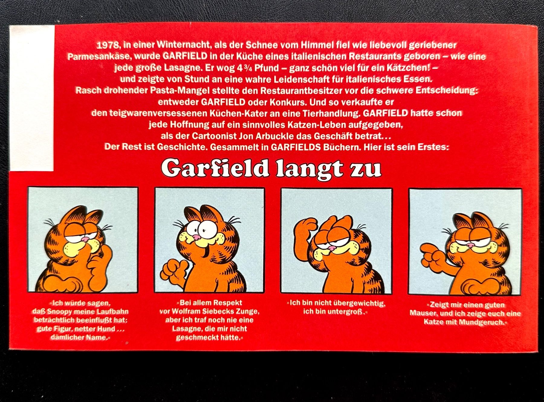 Fumetti: Garfield erstes Buch 1984, hunderte Comics eingestellt – Usato da Seltisberg venduto da quadartswiss 3