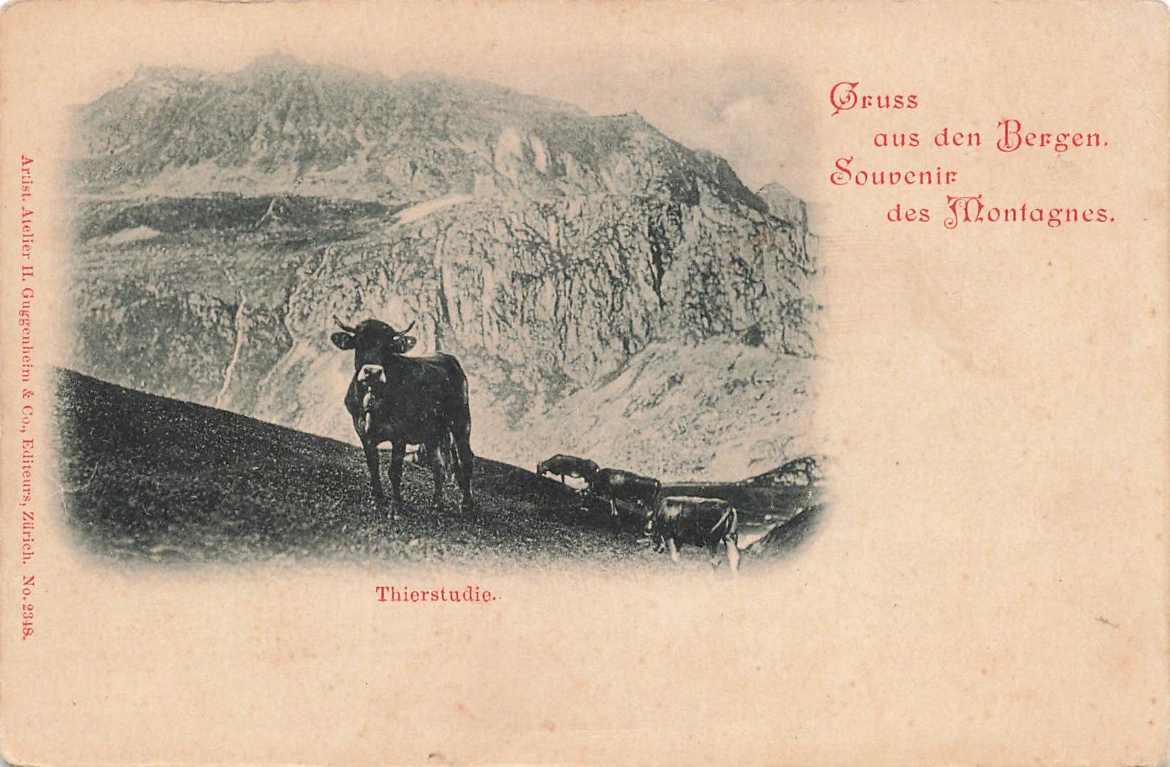 Ansichtskarten: Gruss aus den Bergen Thierstudie – Gebraucht aus Biasca von Blenio71