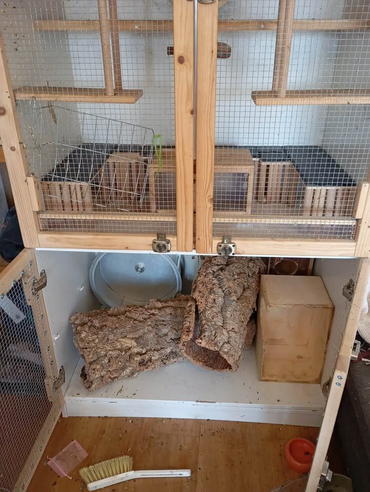 Gabbie, trasporto & Sicurezza: Chinchilla Degus Käfig – Usato da Mönchaltorf venduto da engel3333 1